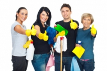 Which Cleaning Products Are Useful In The Home?